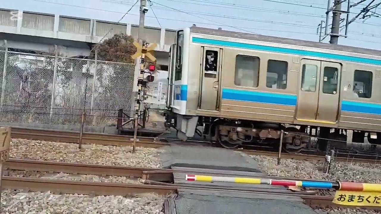 2026年1月に撮影した動画集