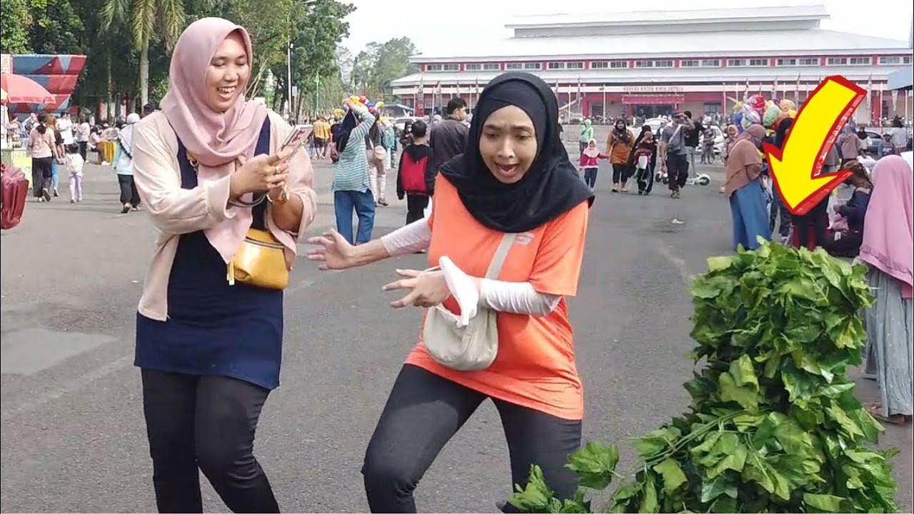 Bushman prank lucu dan meriah