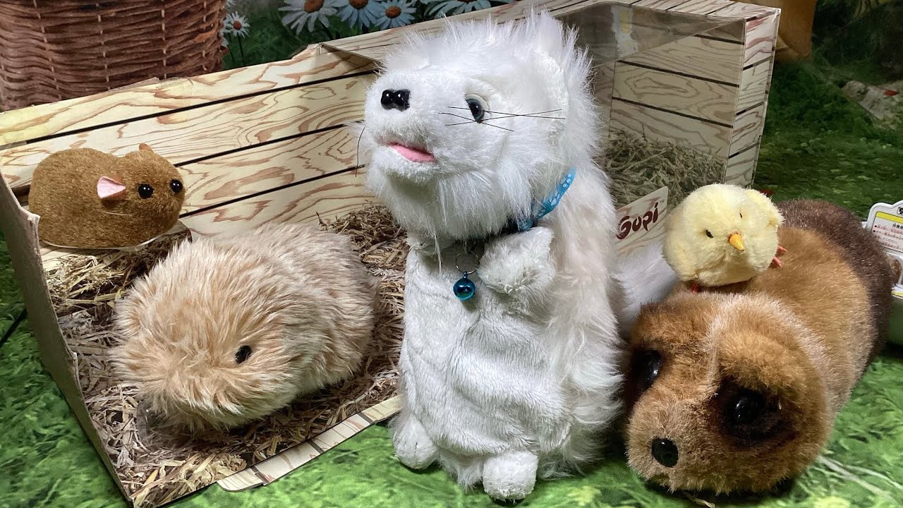 My Rarest Animatrionic Robotic Interactive Pet Collection: Moflin, Scoozie, Gupi Guinea Pig & Others