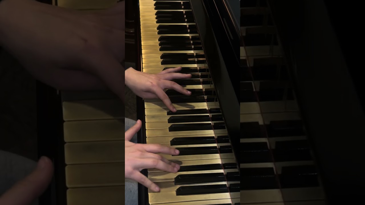 Canon in D - Pachelbel 🎶