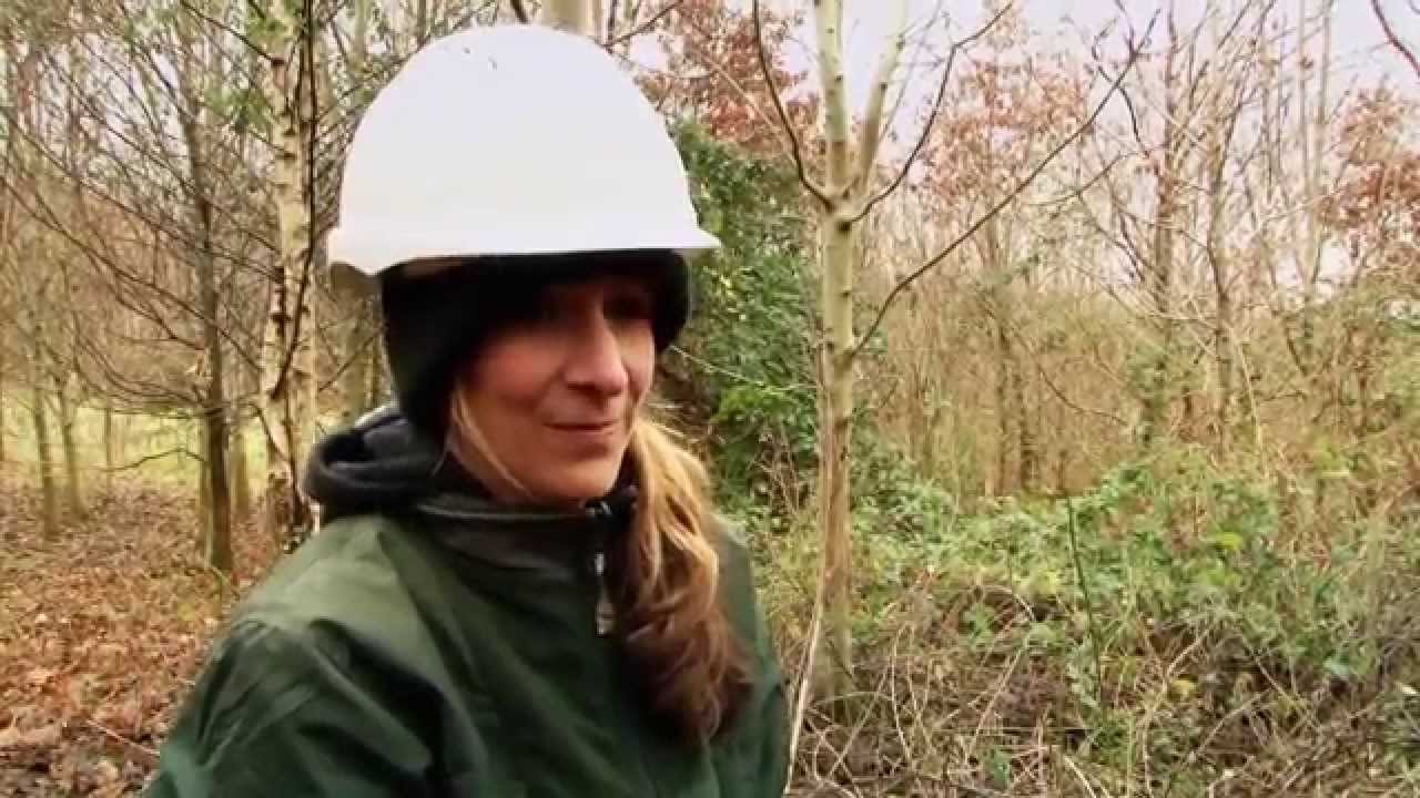 Forest School Leaders Training