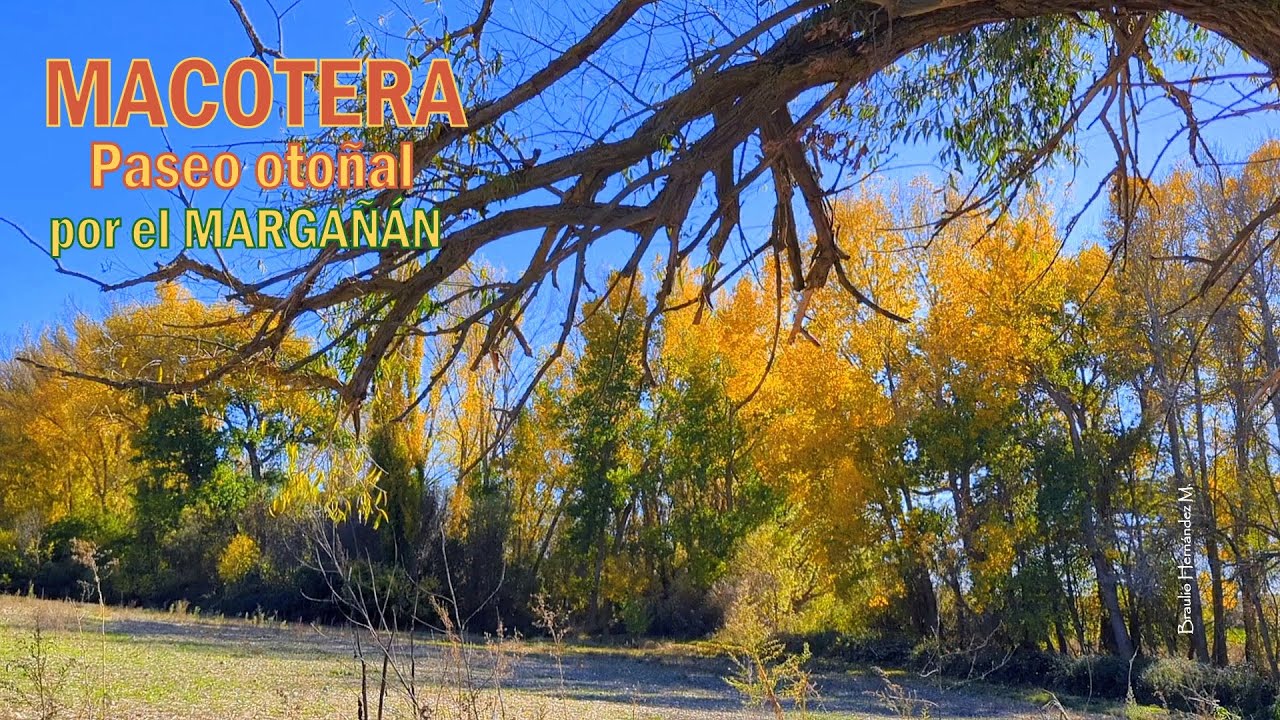 Macotera (Salamanca): paseo otoñal por el río Margañán