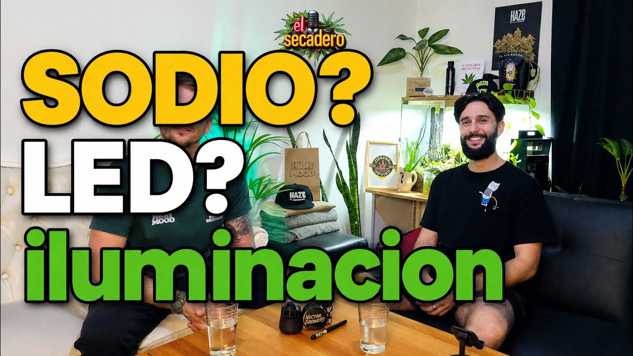 🎙️ Episodio #35 &ndash; Iluminaci&oacute;n en el Cultivo de Cannabis con David Algasibiur 💡🌱