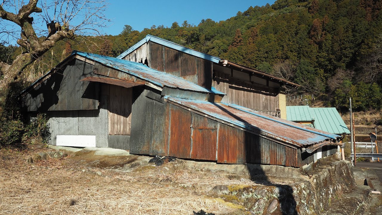 本宮町檜葉集落に上がったら梅が咲いていた【限界集落の風景・田舎散歩】Hiba, Hongucho, Tanabe City, Wakayama, Japan