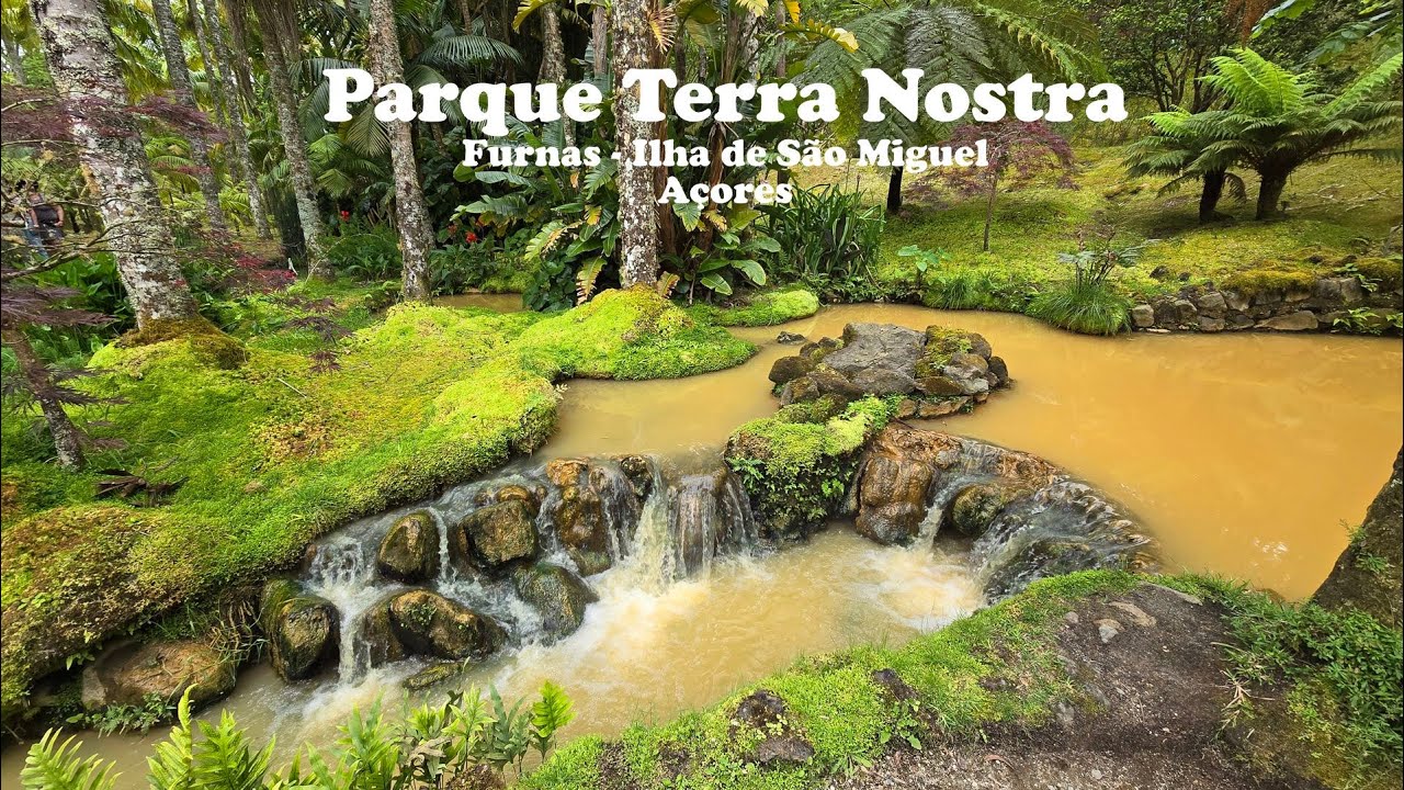 Parque Terra Nostra: O Paraíso Termal e Botânico dos Açores!