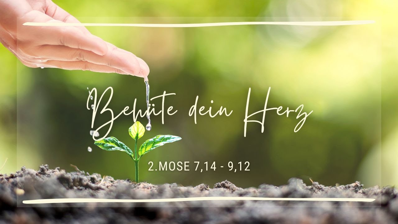 Behüte dein Herz