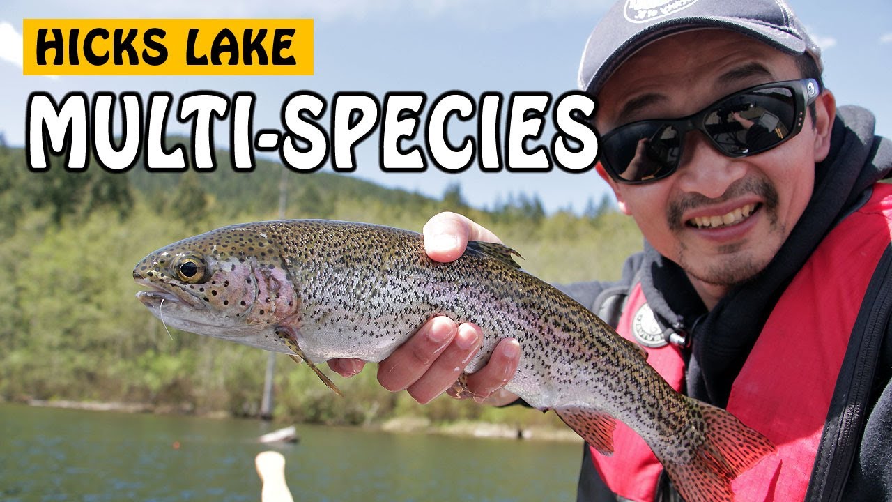 RAINBOW TROUT, CUTTHROAT TROUT, KOKANEE!  Multi-species at Hicks Lake BC Canada | Fishing with Rod