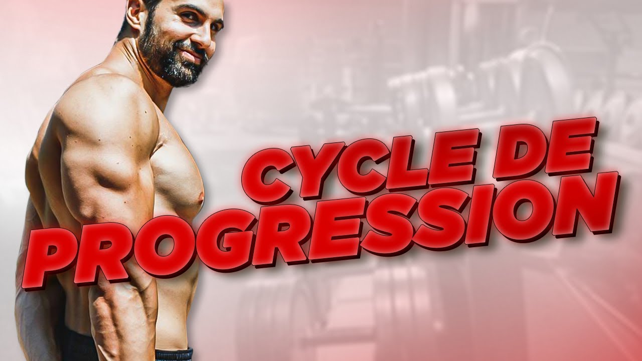 LES CYCLES DE PROGRESSION EN MUSCULATION