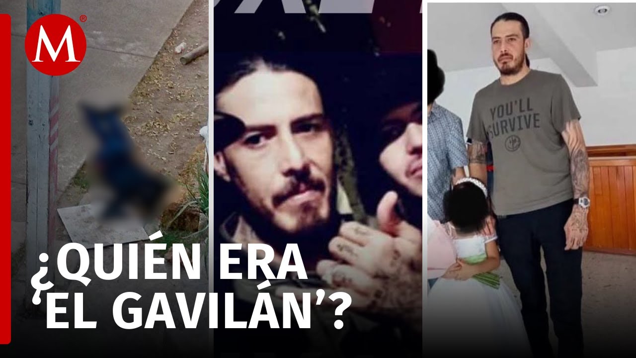 La guerra del C&aacute;rtel de Sinaloa ha dejado debilitado a Los Chapitos con la muerte de 'El Gavil&aacute;n'