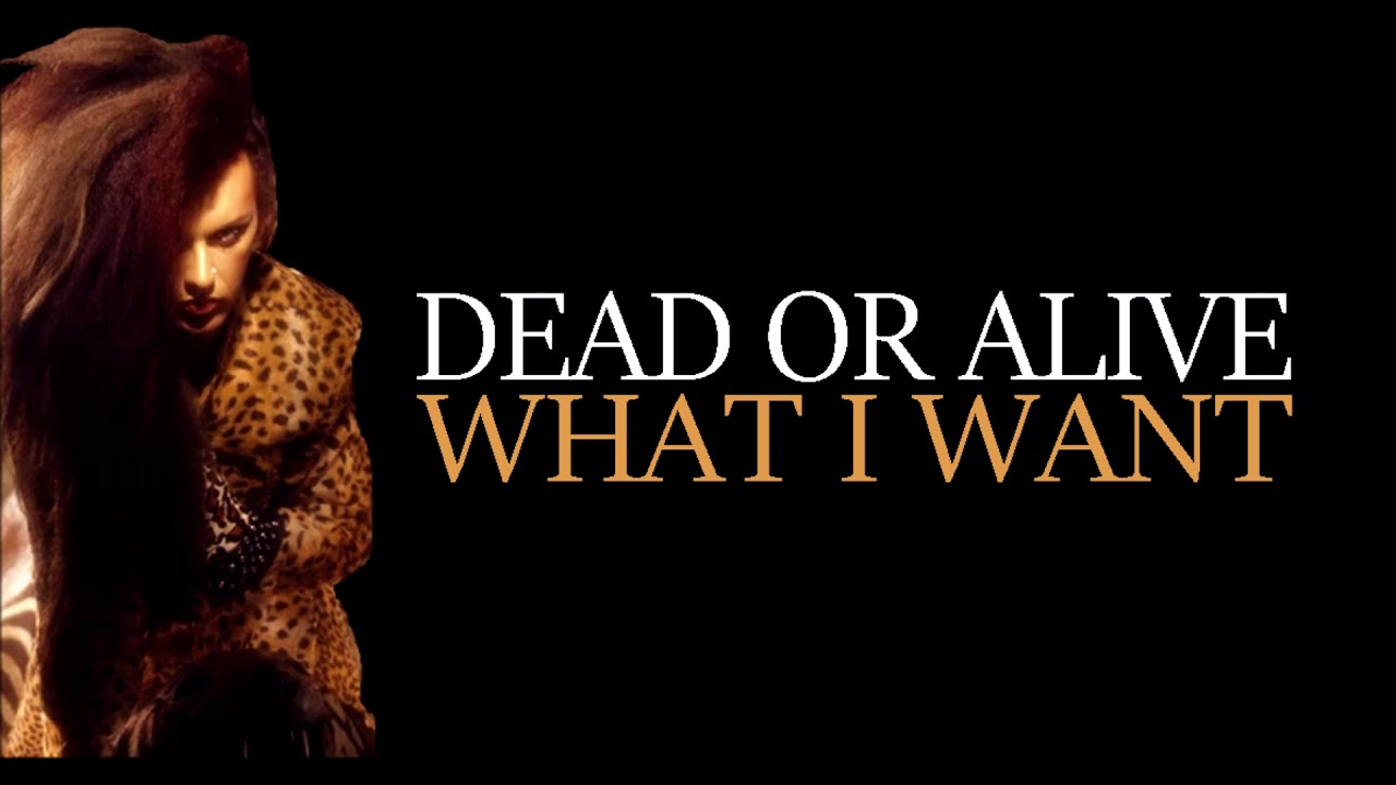 Dead Or Alive - What I Want (Remade)