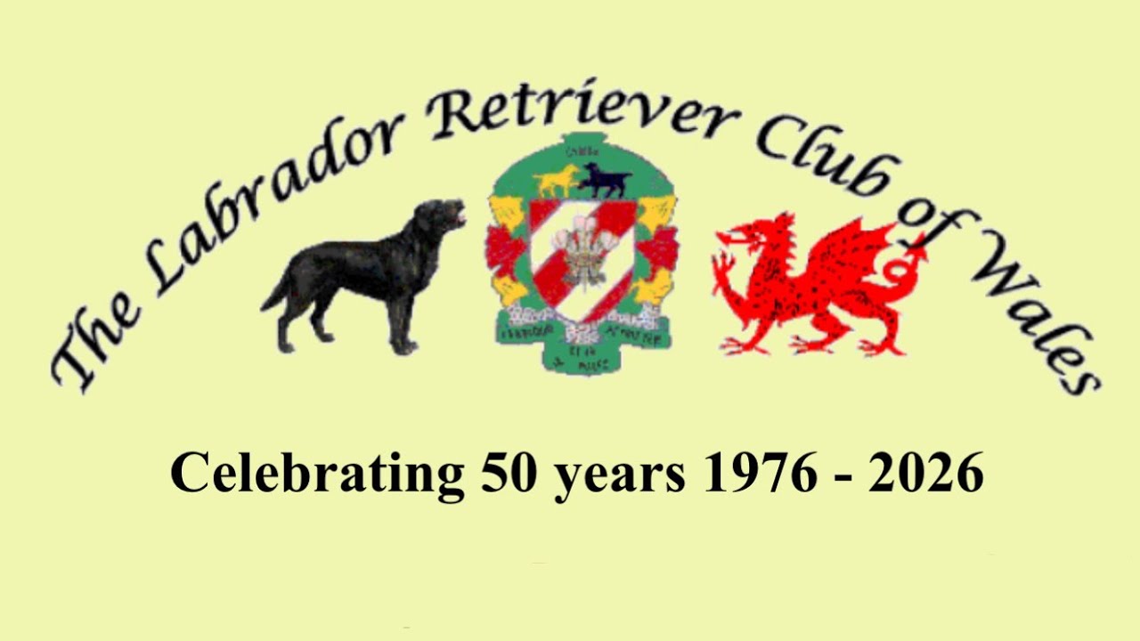 LRC of Wales championship show