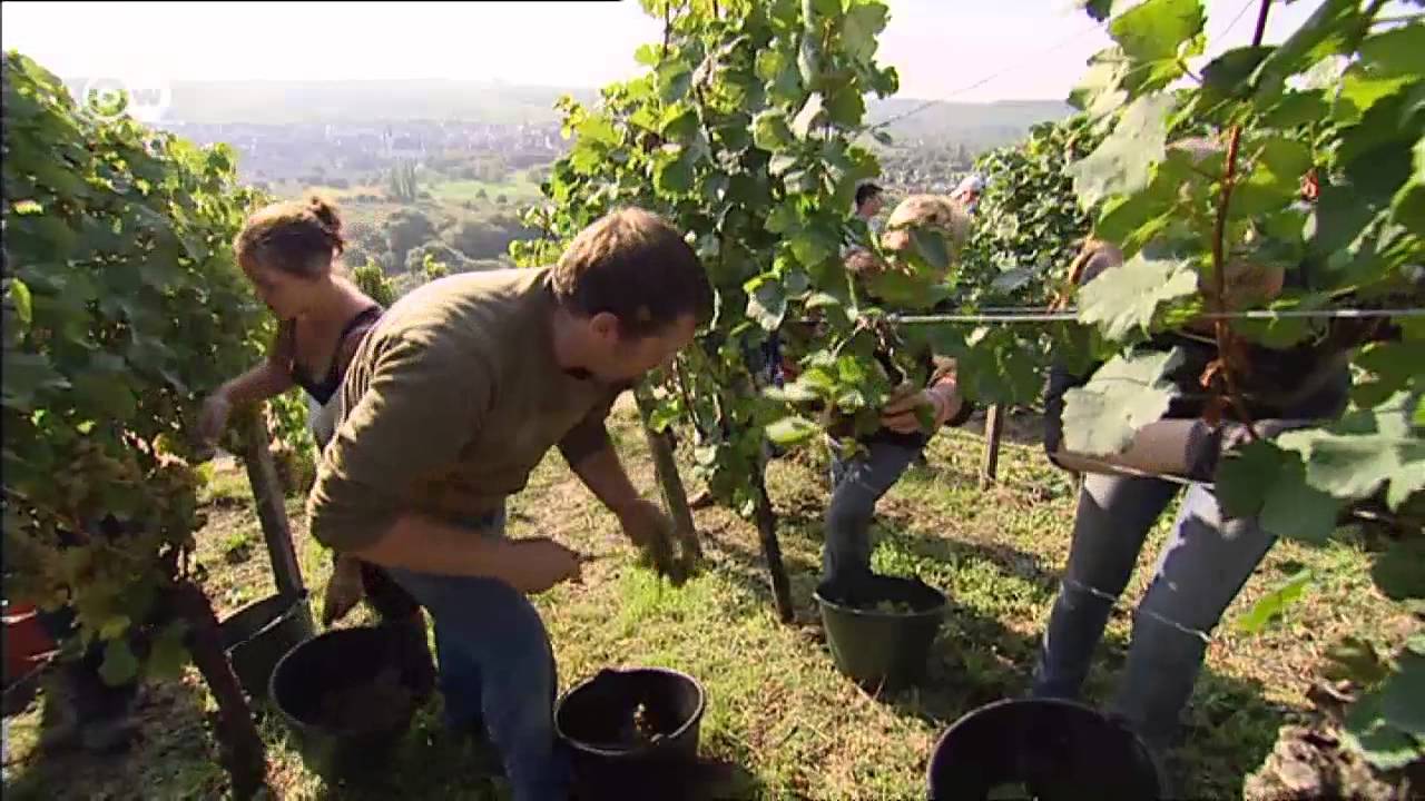 Bavaria - Germany&rsquo;s Popular Holiday Spot | Discover Germany