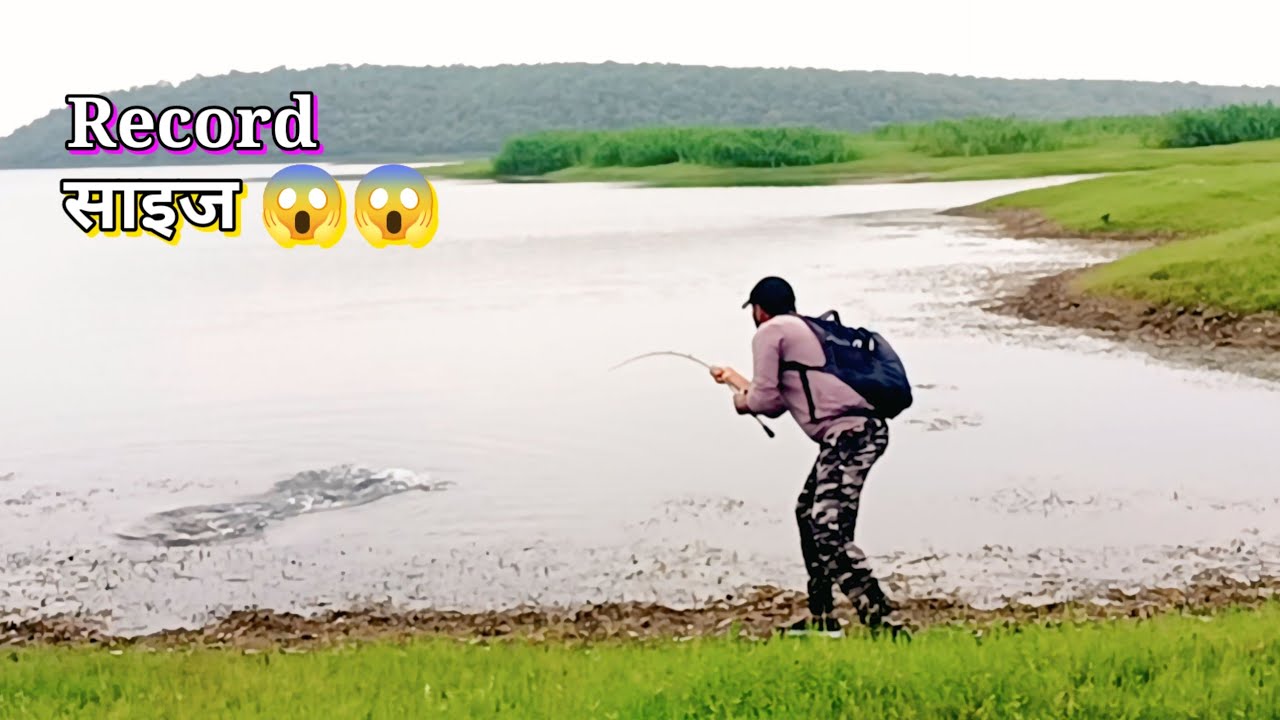 Big siz Snakehead Murrel ||| 😱 मैंने पहली बार इतना बड़ा मरल पकड़ा |||😱