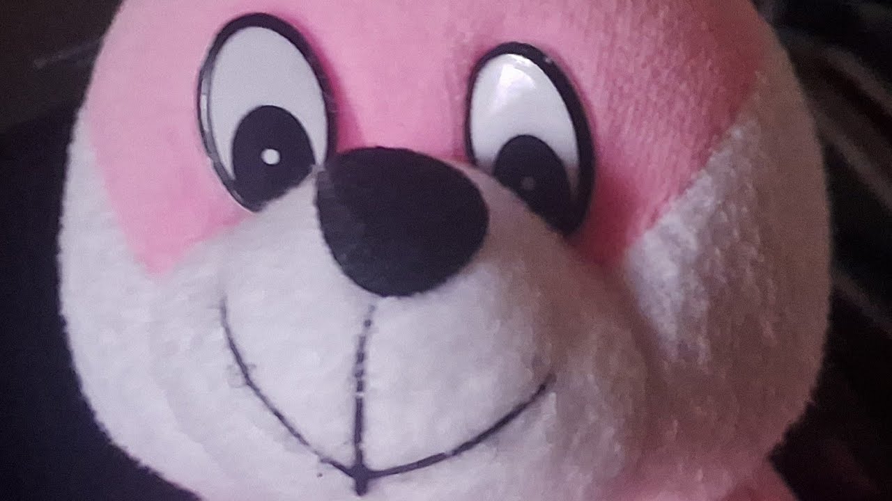 good morning everyone