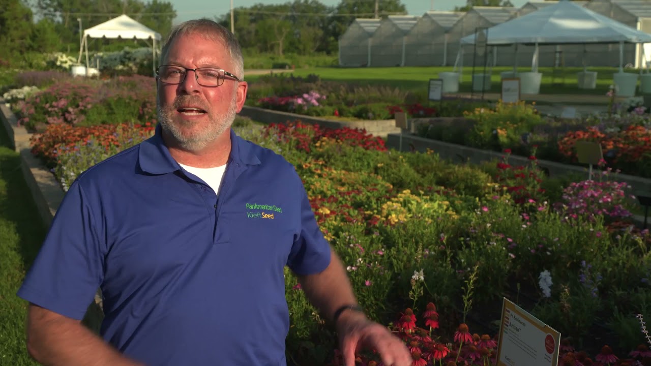 Kieft Seed -- Ball Customer Days 2021