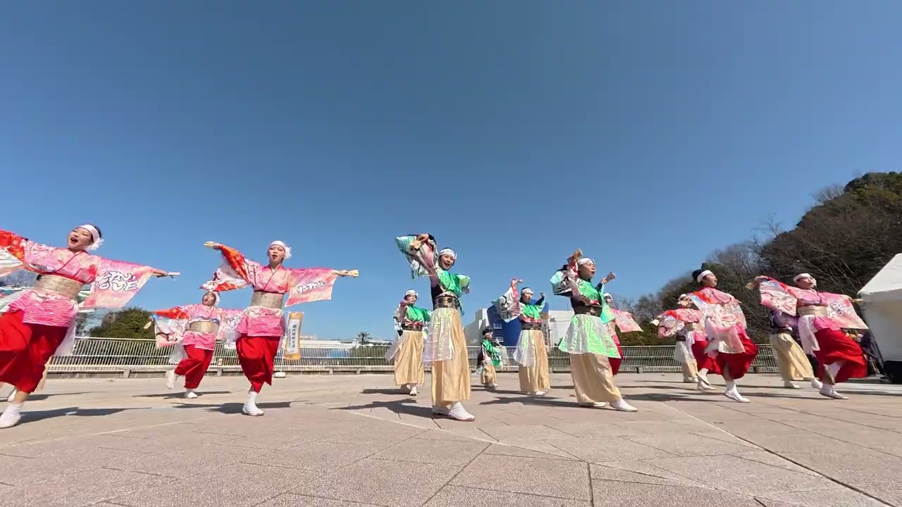18 和歌山MOVE 堺よさこいかえる祭り2026［４Ｋ］wide2