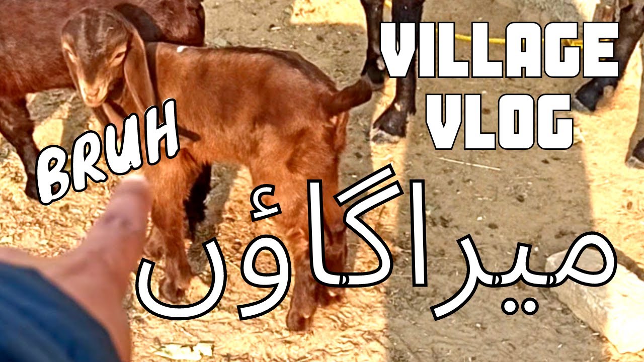 My Village vlog || Village Hometown 🔥 - Best Place for Hiking and Camping ❤️