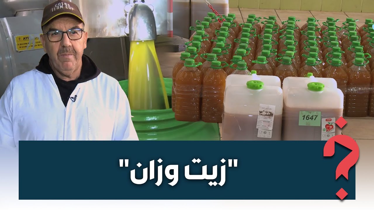 داخل معصرة في وزان.. مراحل عصر زيت الزيتون