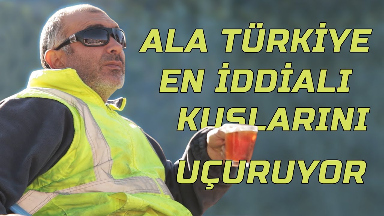 Ala Türkiye Ekibi En İddialı Kuşlarını Uçurdu - AlaTürkiye Osman Kümes Ziyareti - 4K