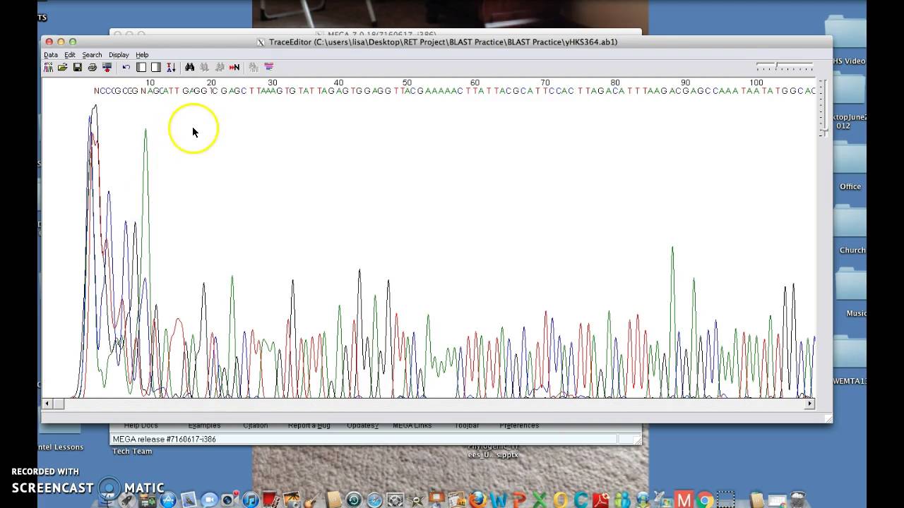 How to Convert .ab1 files to FASTA so you can BLAST it