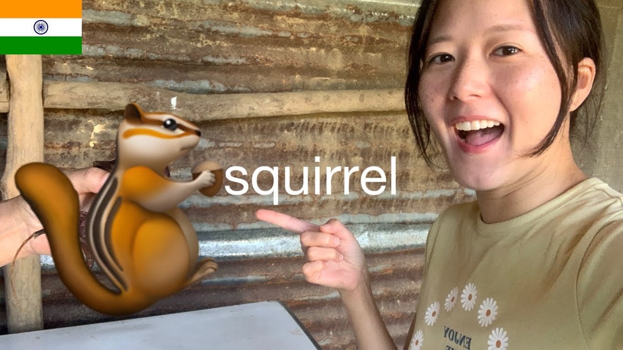 Korean Girl Eats Squirrel in Nagaland | Camping & Swimming in Doyang River