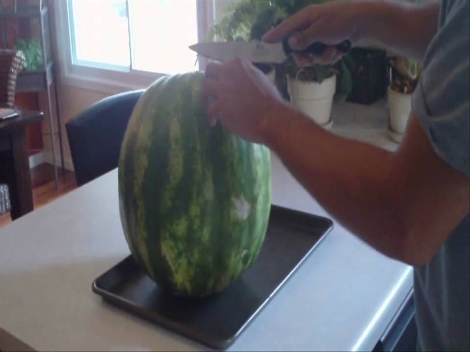 How to pick a ripe watermelon