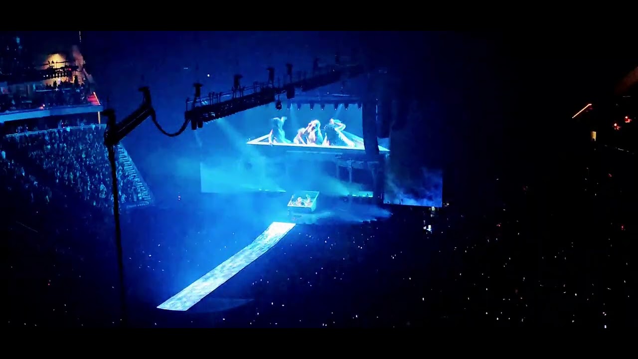 Lady Gaga - Perfect Celebrity/Disease Mayhem Ball, Las Vegas #mayhemball #ladygaga #concert 