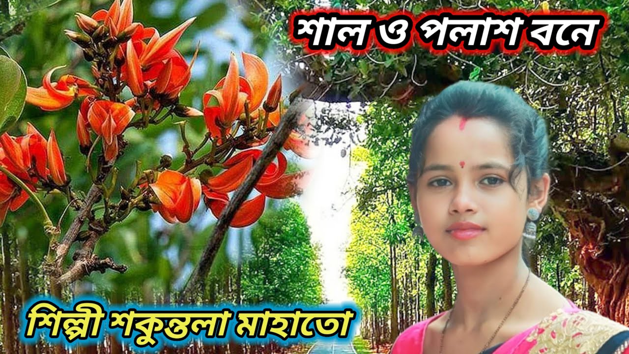 শাল ও পলাশ বনে 🔥shakuntala mahato new  song 🔥 shakuntala mahato romantic song 🔥