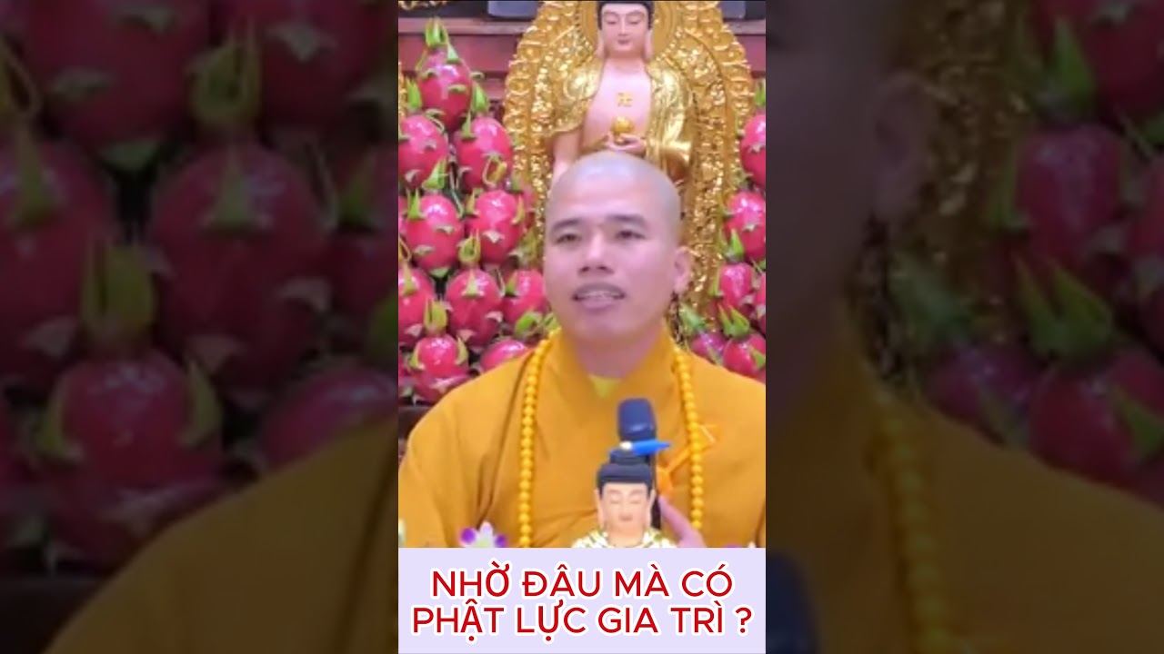 NHỜ Đ&Acirc;U M&Agrave; C&Oacute; PHẬT LỰC GIA TR&Igrave; | THẦY TH&Iacute;CH NHUẬN ĐỨC  #phatphap #niemphat #tinhdo