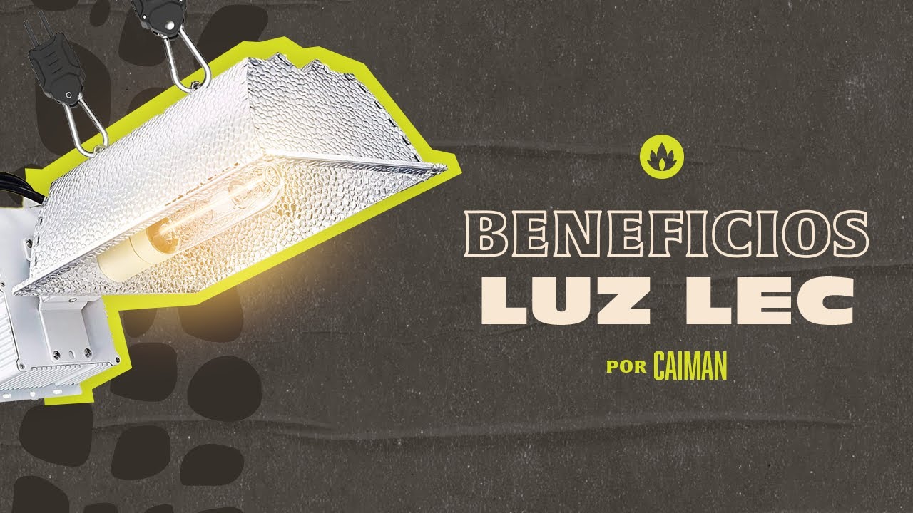 BENEFICIOS del Luz LEC