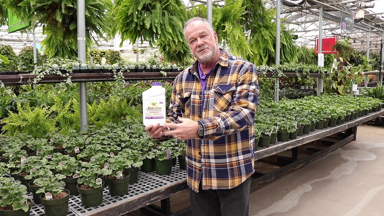Bonide Root & grow