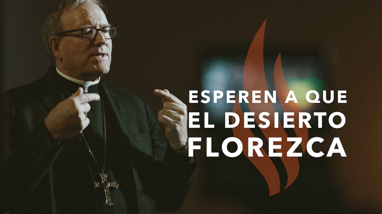 Esperen a Que el Desierto Florezca - Sermón del Domingo del obispo Robert Barron