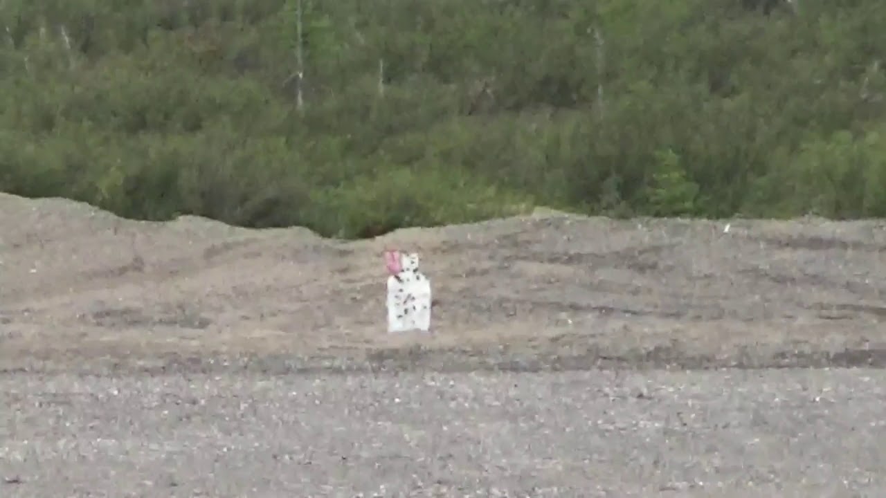 Kel Tech RFB long range accuracy