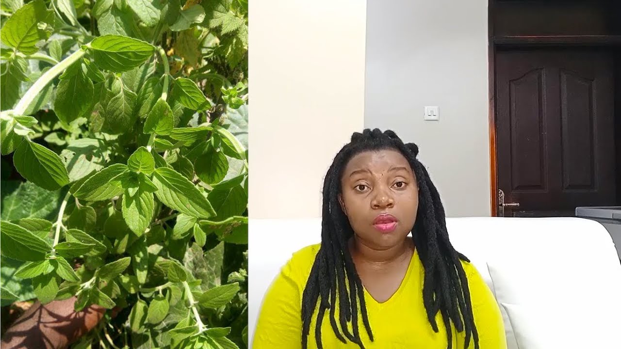 EDDAGALA ERIKUUMA OBUFUMBO PAKA BUKADDE EMANA YA GONYA LOVE POTION
