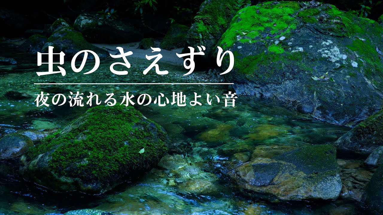【睡眠用BGM/環境音】夜の流れる水の心地よい音 | 虫のさえずり。リラックス。勉強。睡眠。