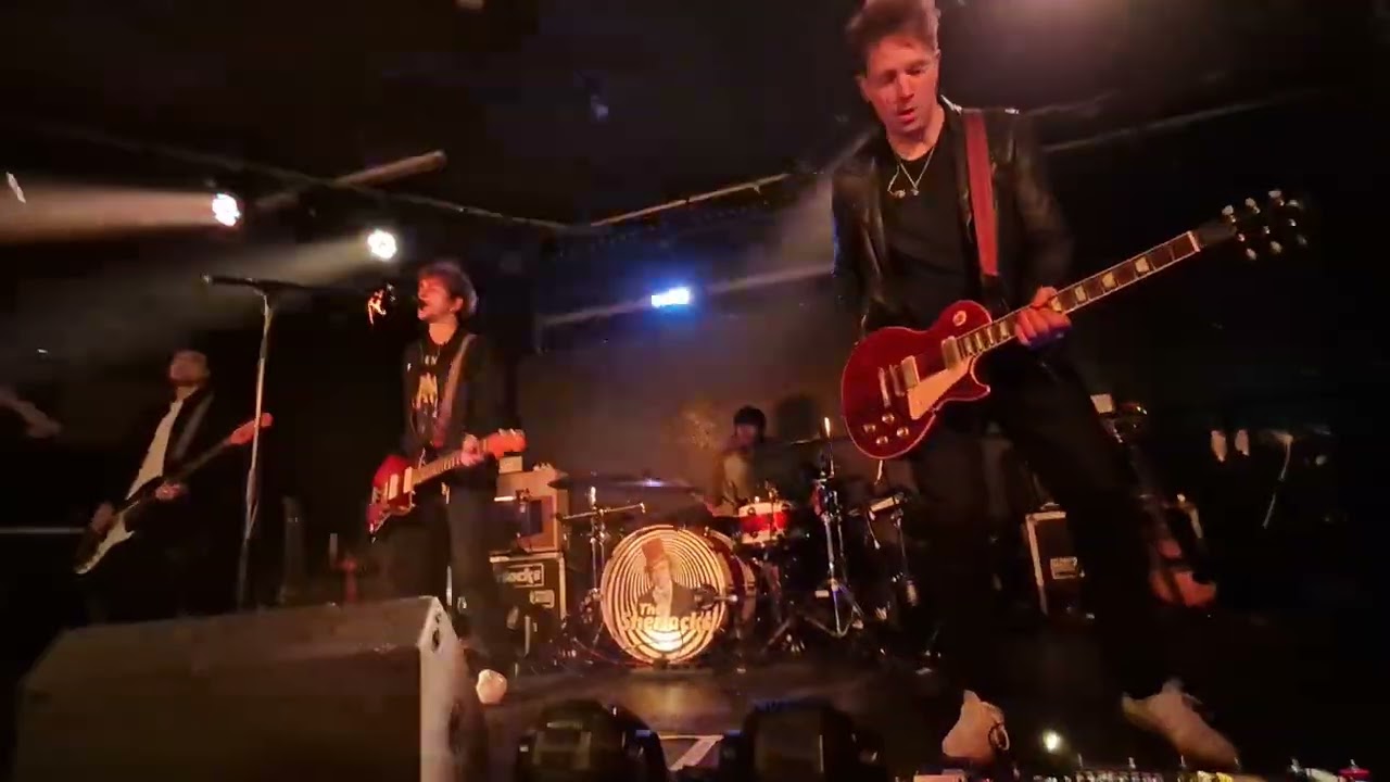 The Sherlocks Will You Be There at The Welly Hull