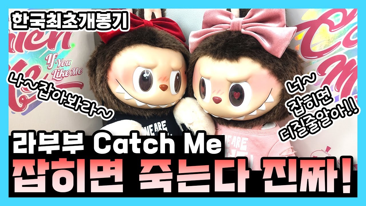 한국최초! 팝마트 라부부 캐치 미 인형 개봉기!(POP MART LABUBU Catch Me If you like me~)