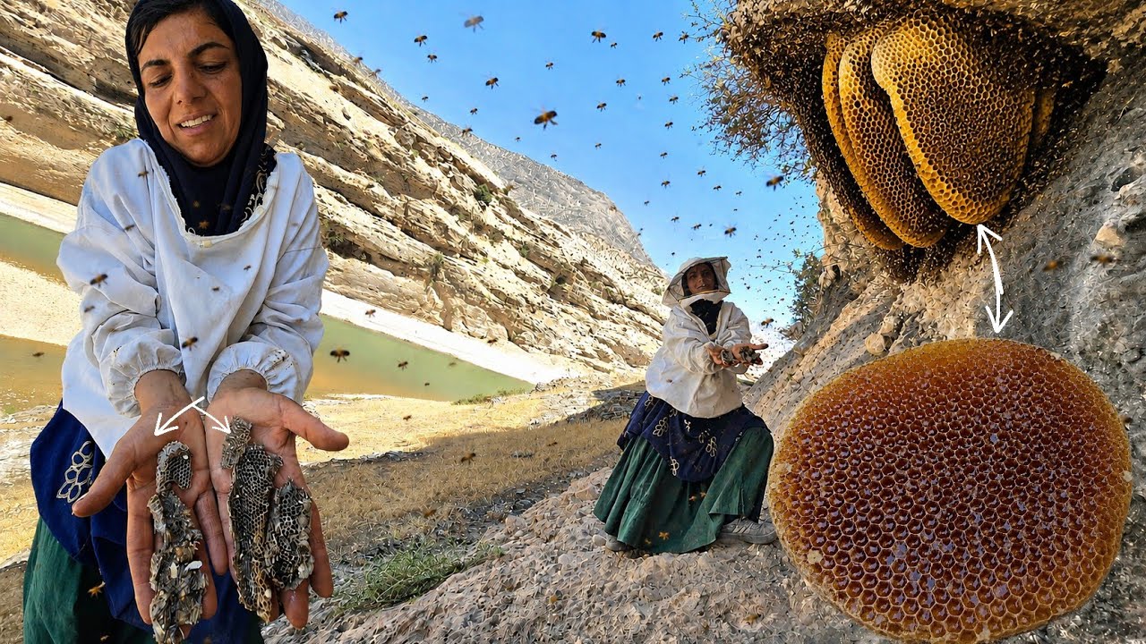 🍯🐝 Wild Mountain Honey Adventure | Ismat&rsquo;s Journey for Wild Figs, Pomegranates & Honey in the Zagros