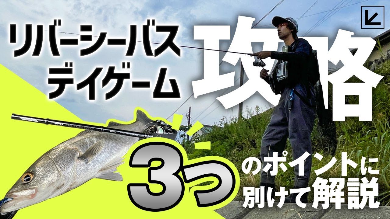 【シーバス】リバーシーバス デイゲームの攻略法を3ポイントに別けて徹底解説！【実釣】