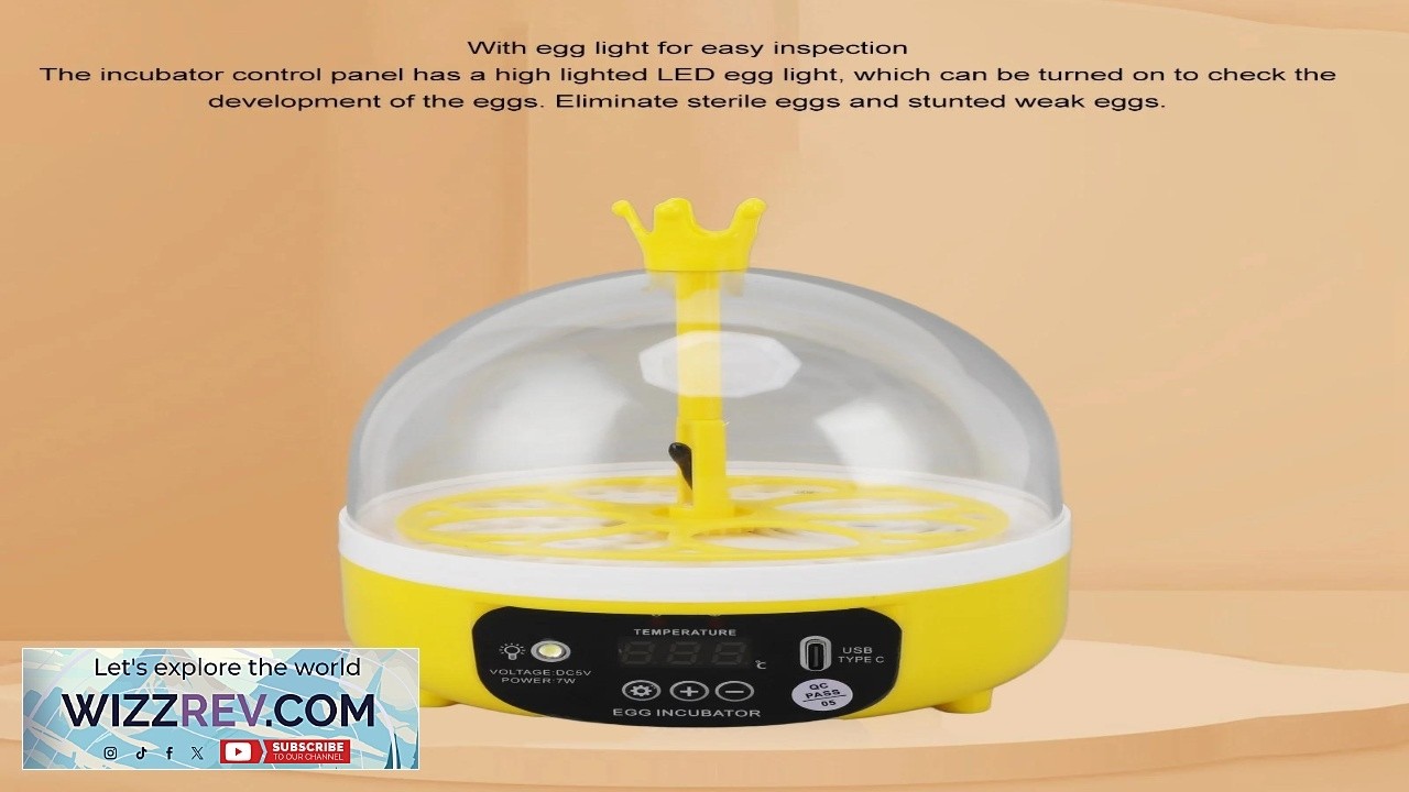 Mini Egg Incubator for Home Automatic Temperature Humidity Control 4 Eggs Candler