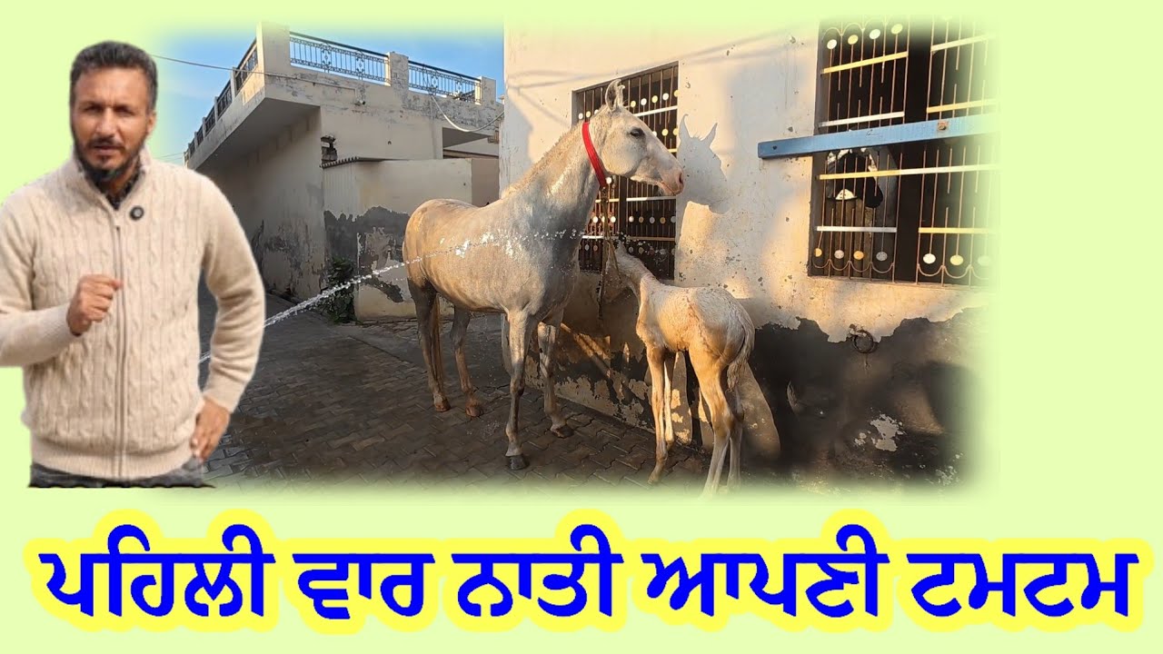ਪਹਿਲੀ ਵਾਰ ਨਾਤਾ ਅੱਜ ਆਪਣਾ ਬਸ਼ੇਰਾ,, ਦੇਖੋ ਪਾਣੀ ਨੂੰ ਦੇਖਕੇ ਕਿਵੇਂ ਰੀਇਕਟ ਕਰਦਾ 