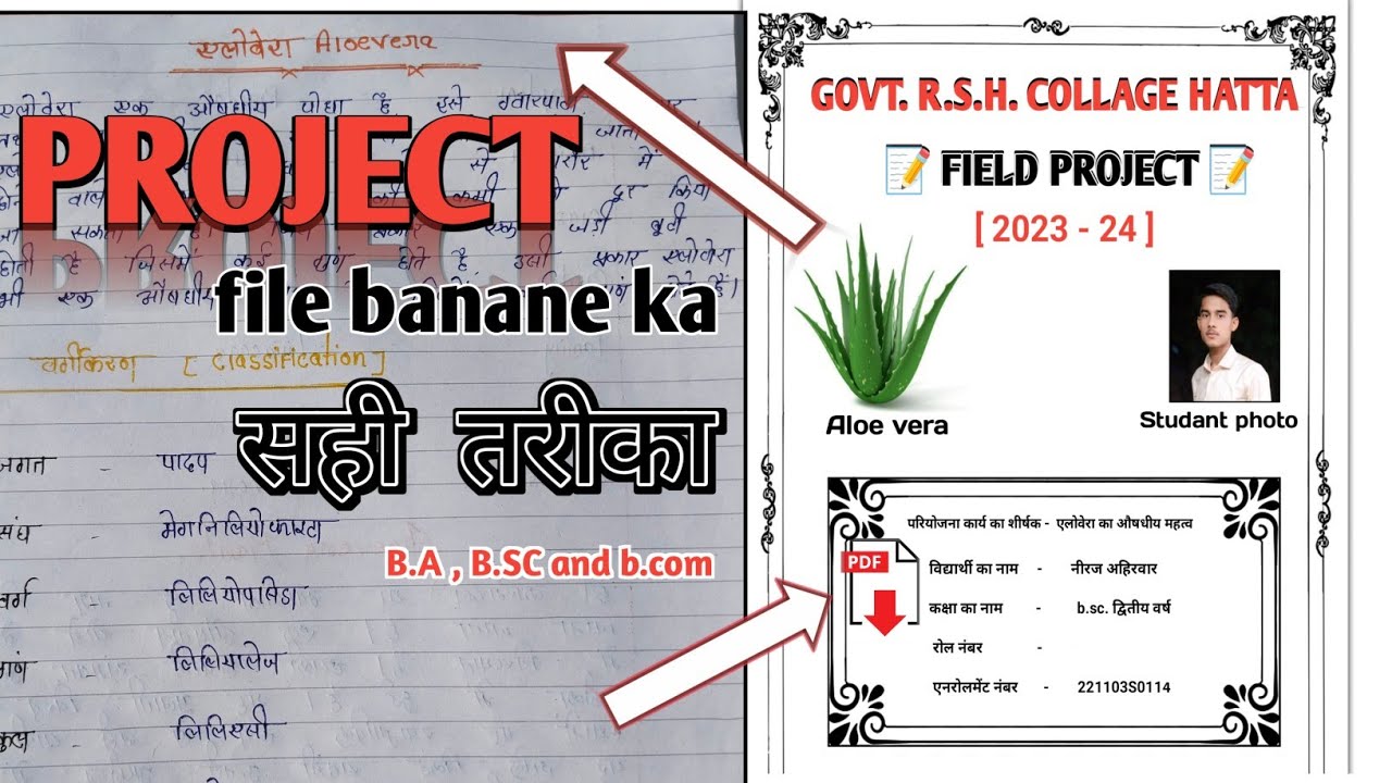 How to Make a Field Project || Project File for College Students 2024-25 #project #focusstudy