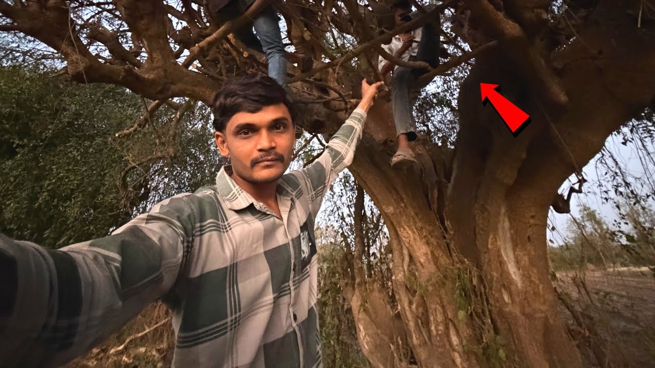 Tree House Itna Complete Ho Gaya  
