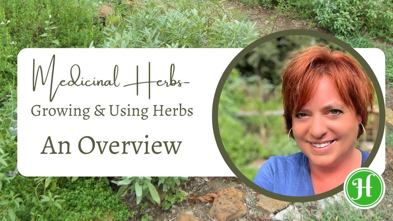 Growing & Using Medicinal Herbs 101