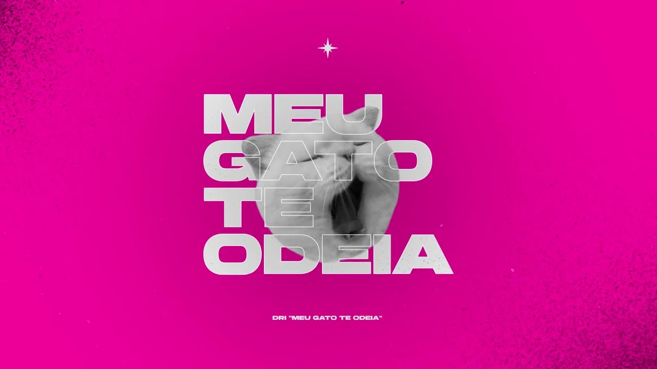 Dri - Meu Gato te Odeia