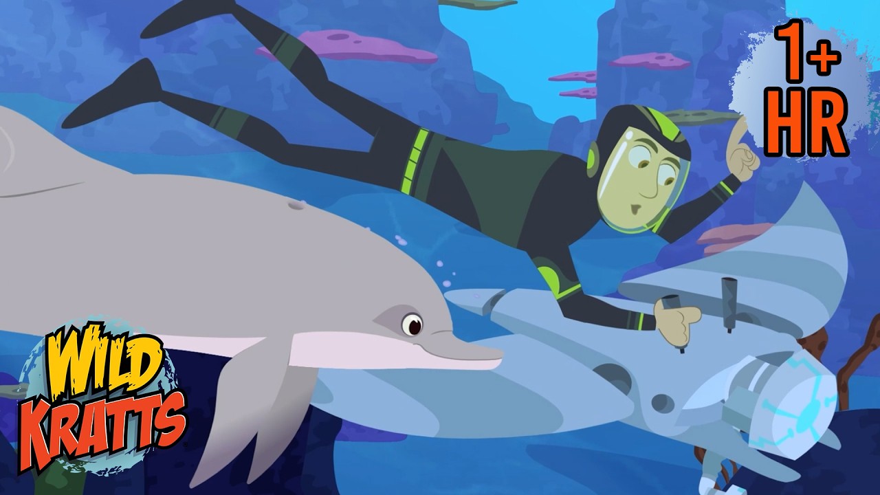 Best of Aquatics | Water Animals | Wild Kratts