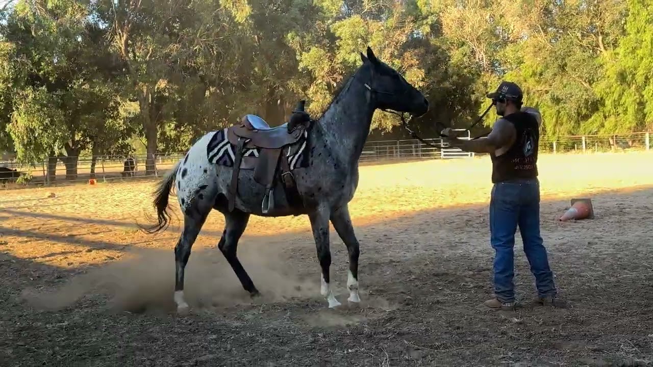 Basic ground work with Memphis
