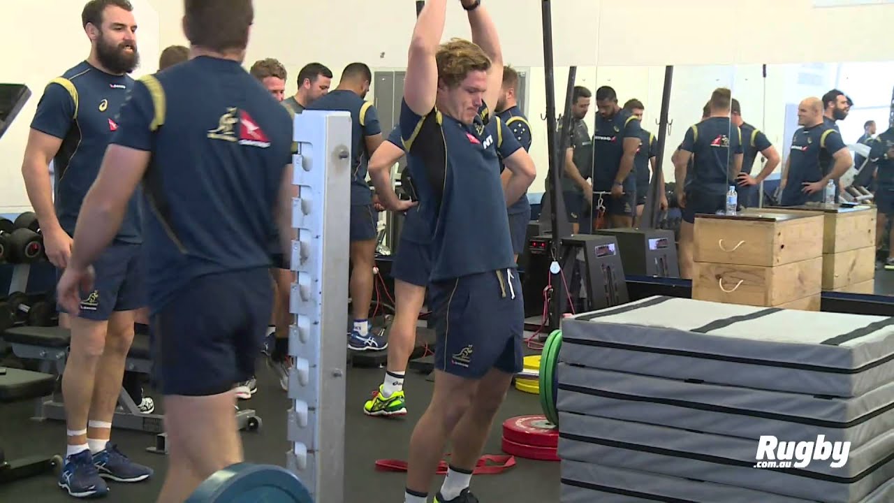 Wallabies: Hooper and Pocock named for NZ clash!