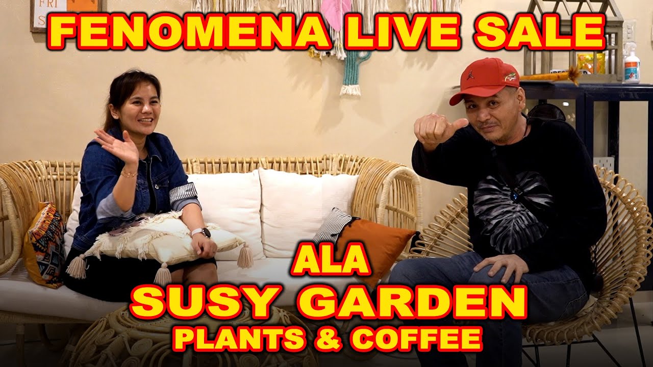 Fenomena LIVE Sale, Ala Susy Garden (Plants & Coffee)  # Episode 64