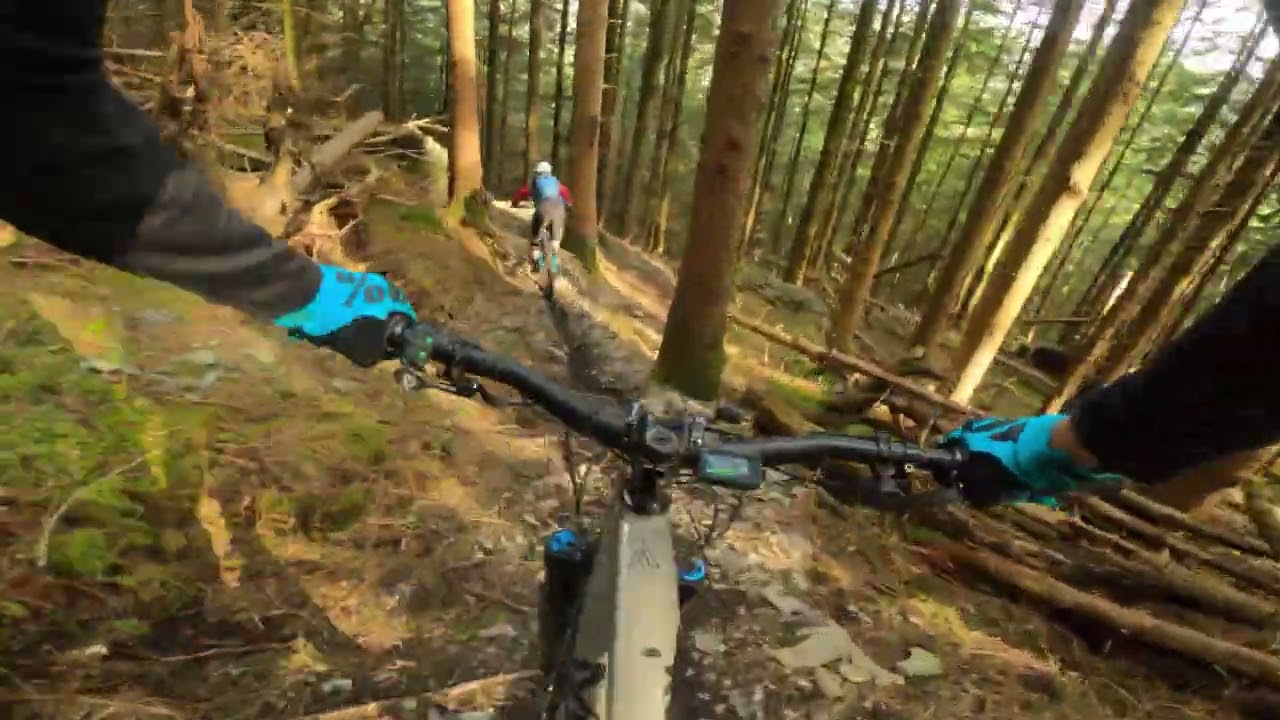 Betws y coed mtb gold